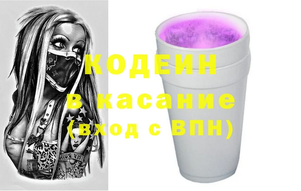 индика Балахна