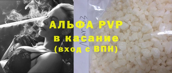индика Балахна