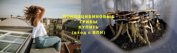 гашик Балабаново