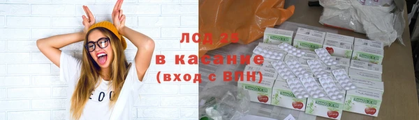 индика Аркадак