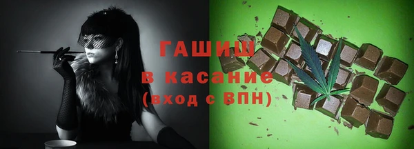 индика Балахна