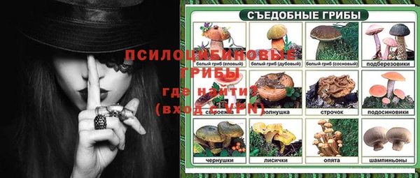 гашик Балабаново