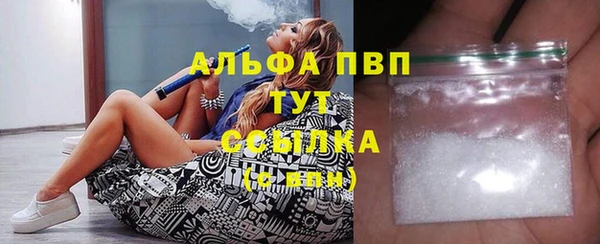индика Балахна