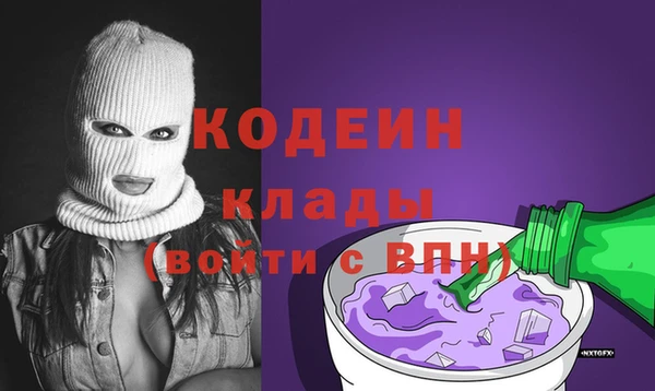 индика Балахна