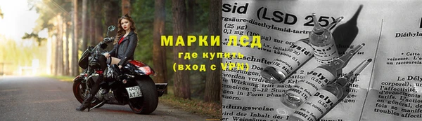 индика Балахна